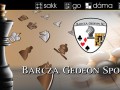 Logo BG
