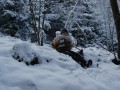 dsc_0800.jpg