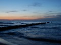 dsc_0342.jpg